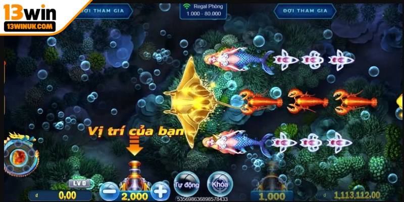 Khi tham gia săn cá, người chơi cần hiểu rõ các quy tắc cơ bản