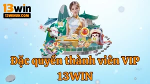 dac-quyen-thanh-vien-vip-13win